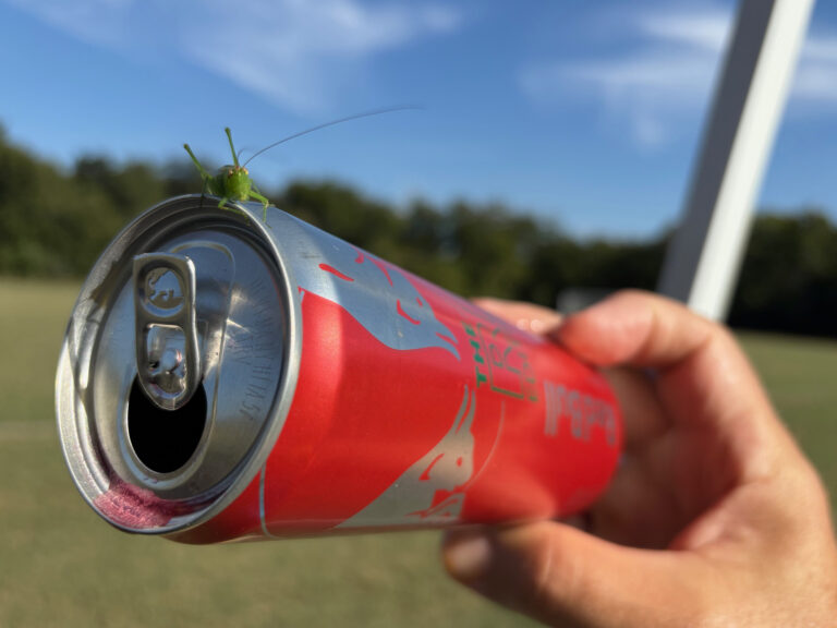 LOSS: CRU 0 – Travis FC 2 – Short-Handed Badgers Play the Long Con with Strategic Loss